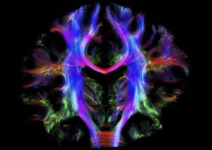 fotografia cientifica claves