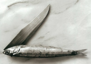 chema madoz 