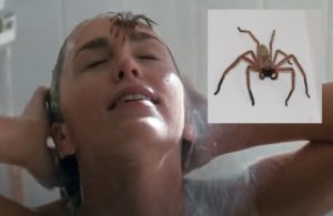 aracnofobia pel&iacute;cula