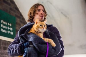 un gato callejero llamado bob