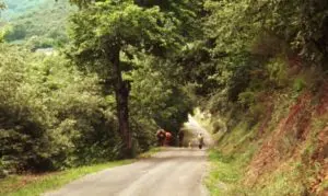 películas rodadas en Galicia