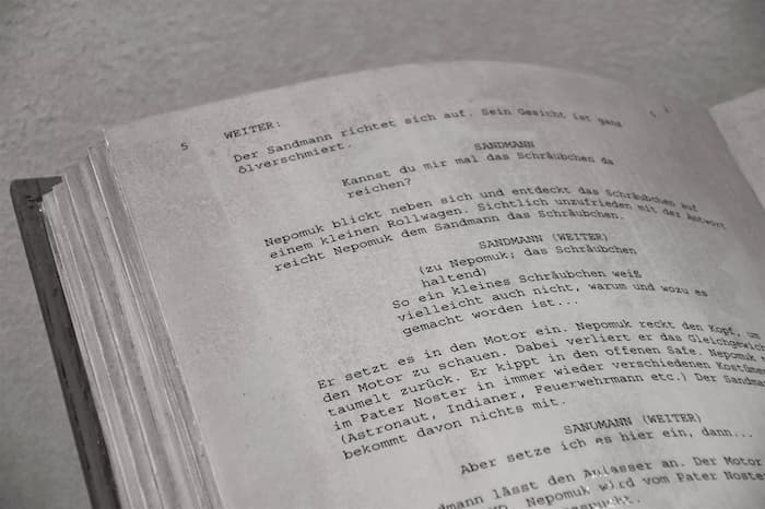 dialoguista, Dialoguista, el eterno olvidado en el universo audiovisual
