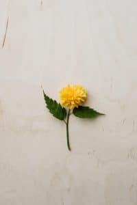 que-es-fotografia-minimalista-8