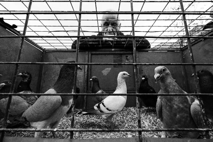 fotograf&iacute;a-narrativa-2