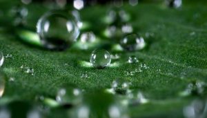 como fotografiar gotas de agua, &iquest;C&oacute;mo fotografiar gotas de agua? Gu&iacute;a completa para capturar la magia l&iacute;quida