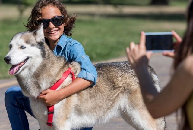 fotografía de mascotas con perro interactuando en sesión fotográfica