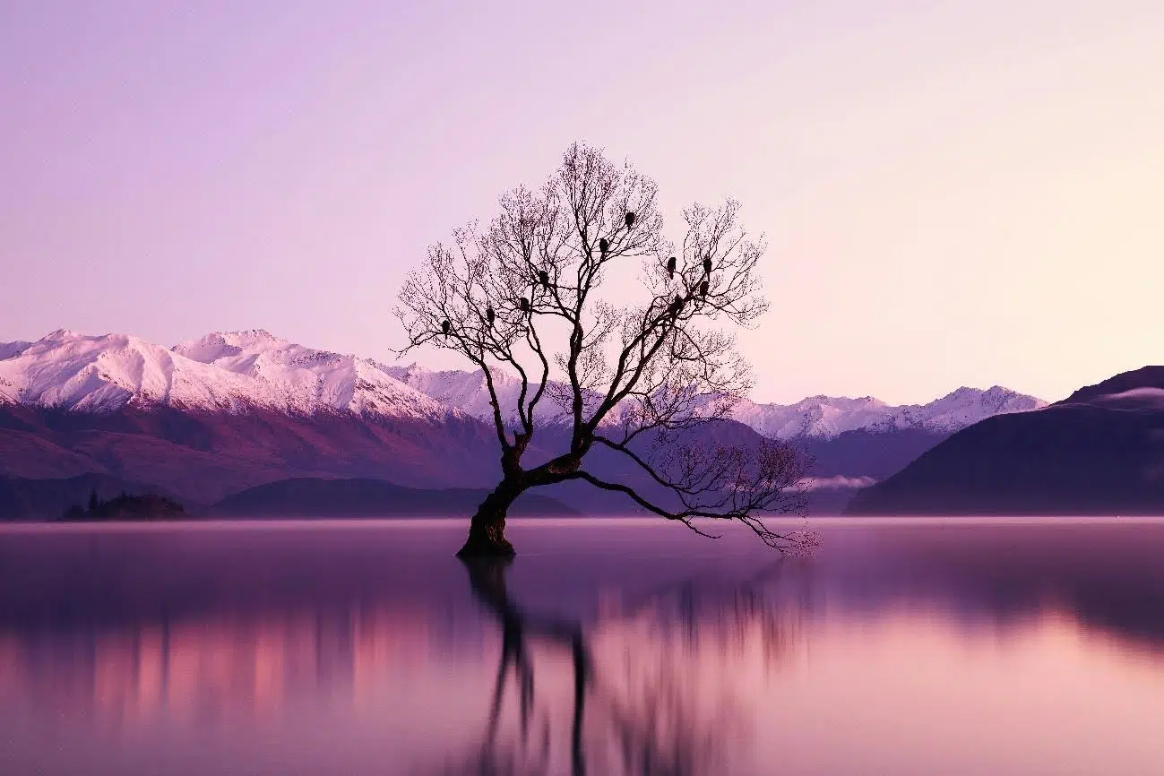 fotógrafo de naturaleza, ¿Cómo ser fotógrafo de naturaleza?