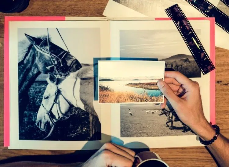 hacer un portfolio de ilustraci&oacute;n, 10 cosas que todo portfolio de direcci&oacute;n de arte debe tener: ejemplos, consejos y trucos