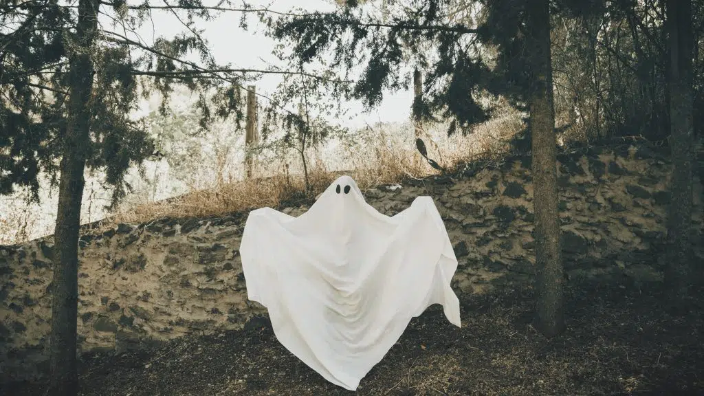 Las mejores pel&iacute;culas de Egipto, Las mejores pel&iacute;culas de fantasmas: 30 historias sobrenaturales imprescindibles